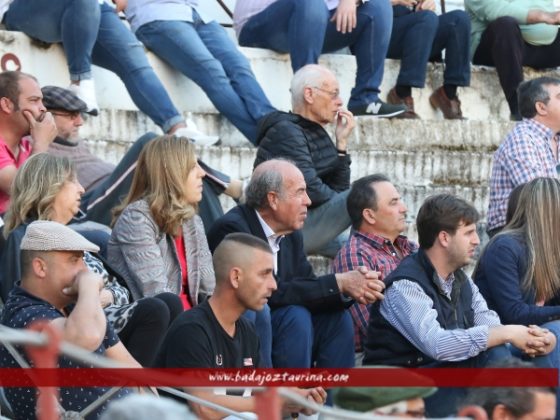 El ganadero Eusebio Naranjo siguiendo el juego de sus novillos