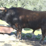 IMG-20190222-WA0005