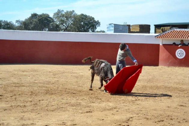 Carlos Domínguez en las horas previas al debut con picadores