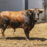 ZALDUENDO-6 541 K