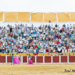 LLENO EN LA SOMBRA