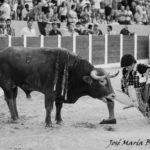 VVA.-FRESNO-291-2